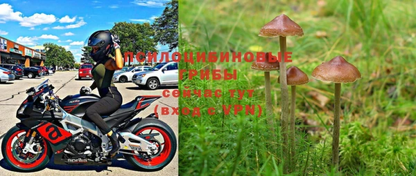 PSILOCYBIN Алексин