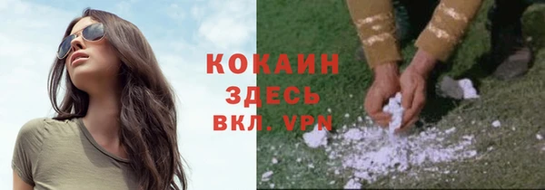 прущий лед Алзамай