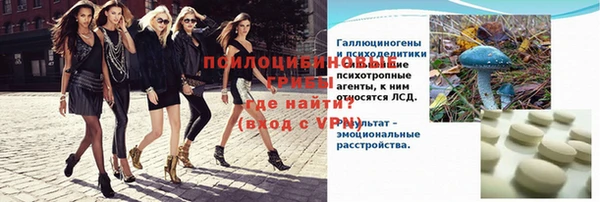 прущий лед Алзамай